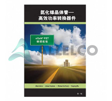 GAN FET BOOK SIMPLIFIED CHINESE VERSION Image