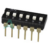 DS04-254-2S-06BK