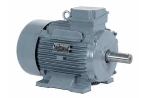 Squirrel Cage Induction Motor: Working Principle, Types, Advantages, and Applications