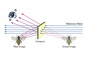 Real Image vs. Virtual Image: What's the Difference?